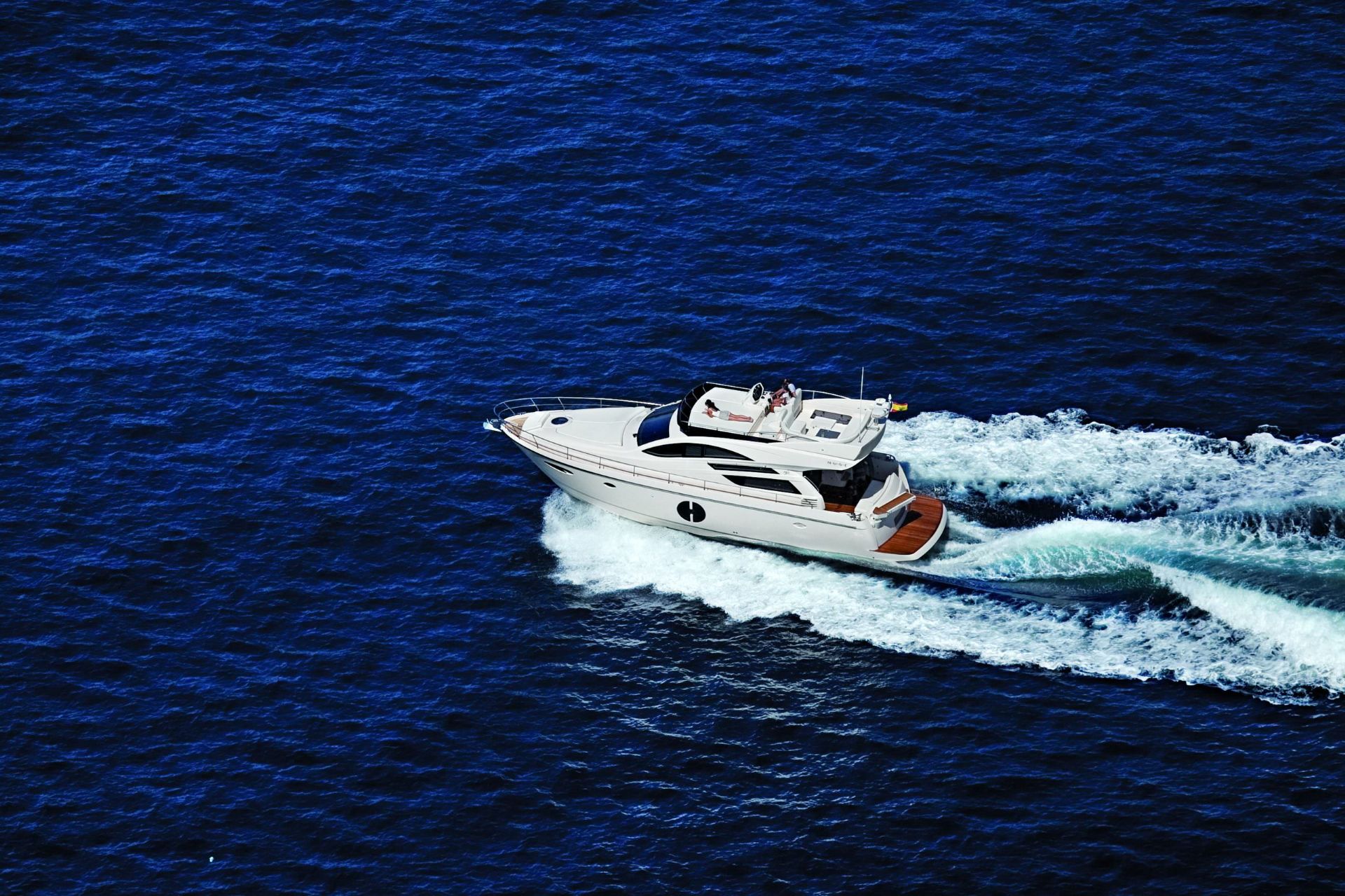 Rodman Muse 50 - 2024