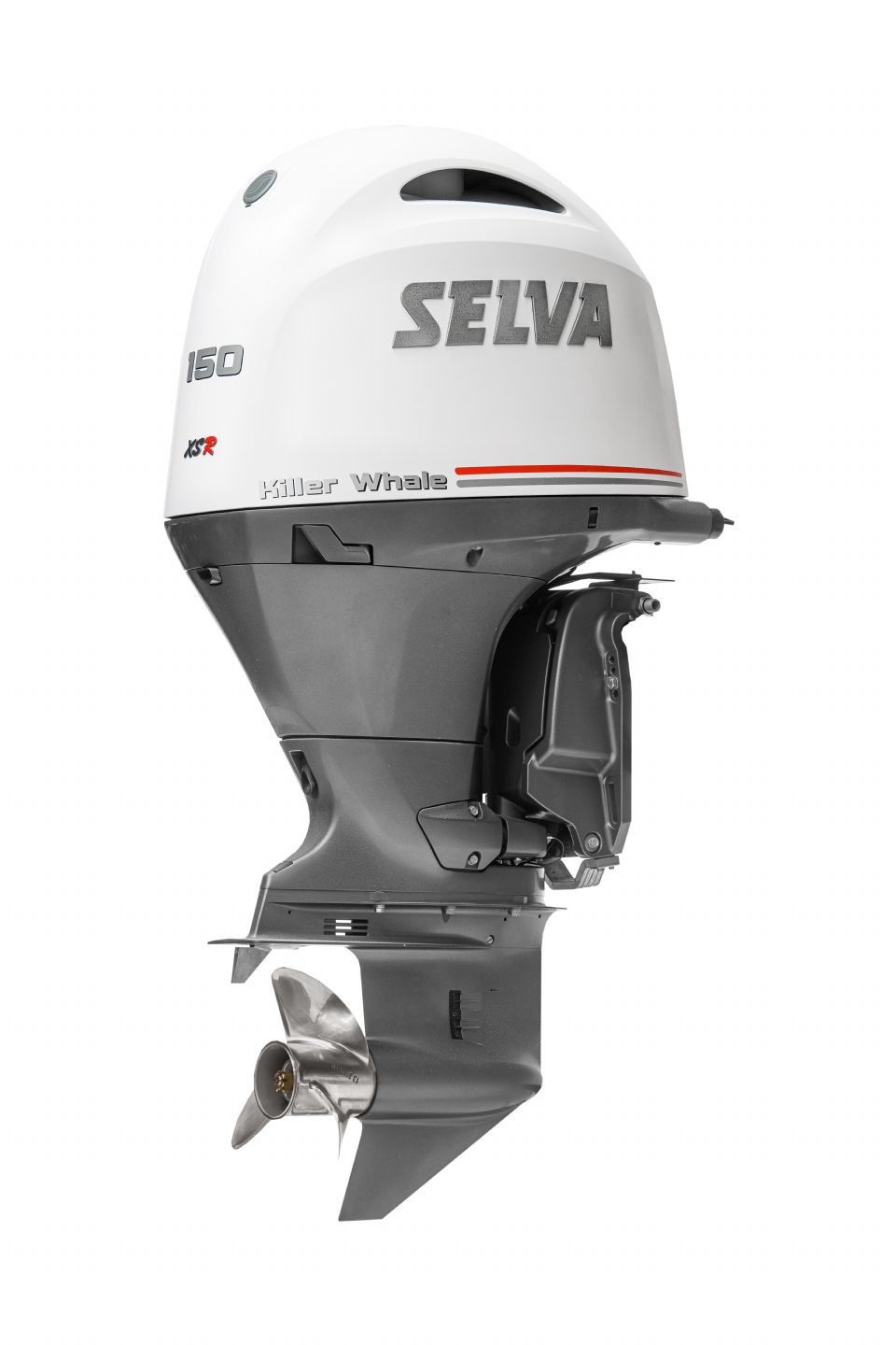 SELVA KILER WHALE 150 - 2024
