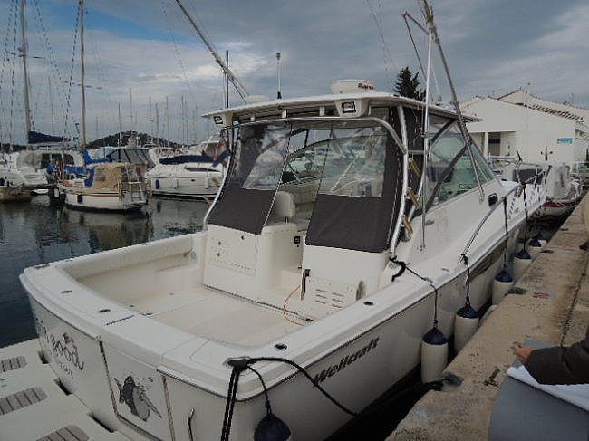 Wellcraft 360 - 2006