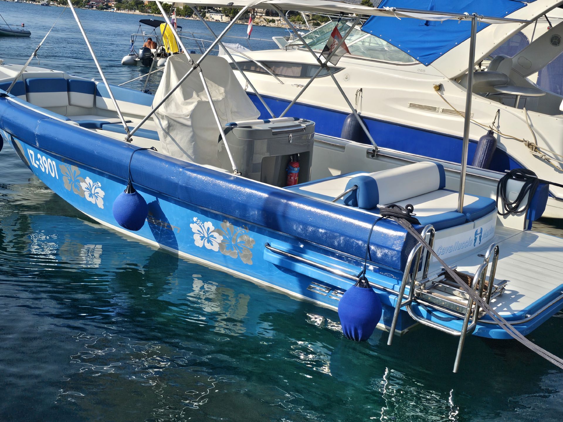 Expression 25 - 2009 - for sale: 35000.-EUR