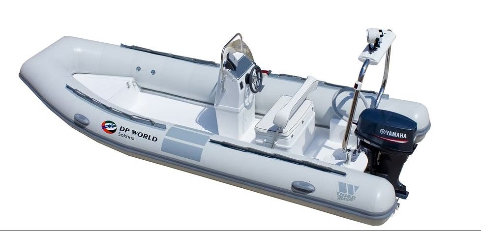 Tiger Marine *SAJAMSKI POPUST* Divemaster 520 - 2024
