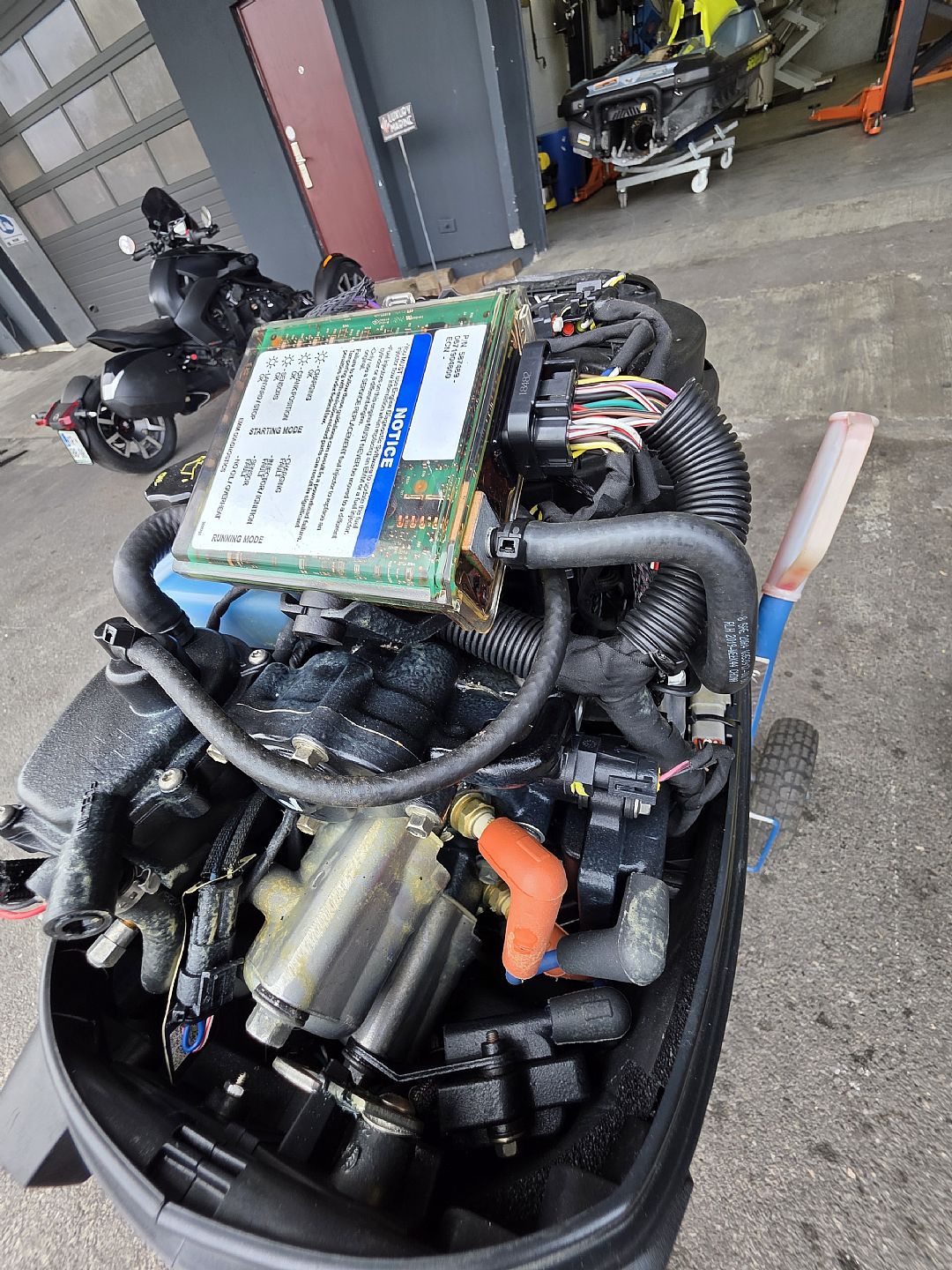 Evinrude E 30 DRGAF - kratka ... - 2019 - for sale: 2550.-EUR