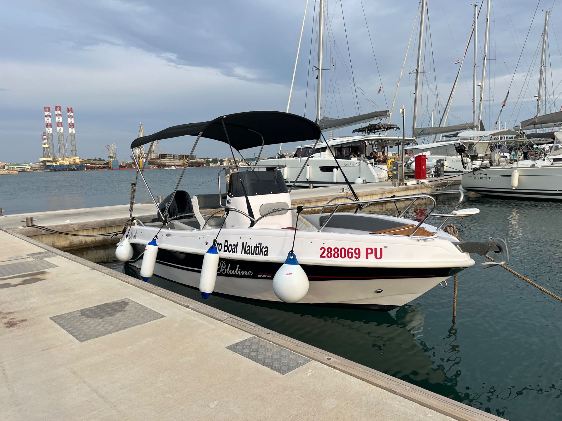 Bluline 19 open Plus - 2024 - for sale: 25450.-EUR