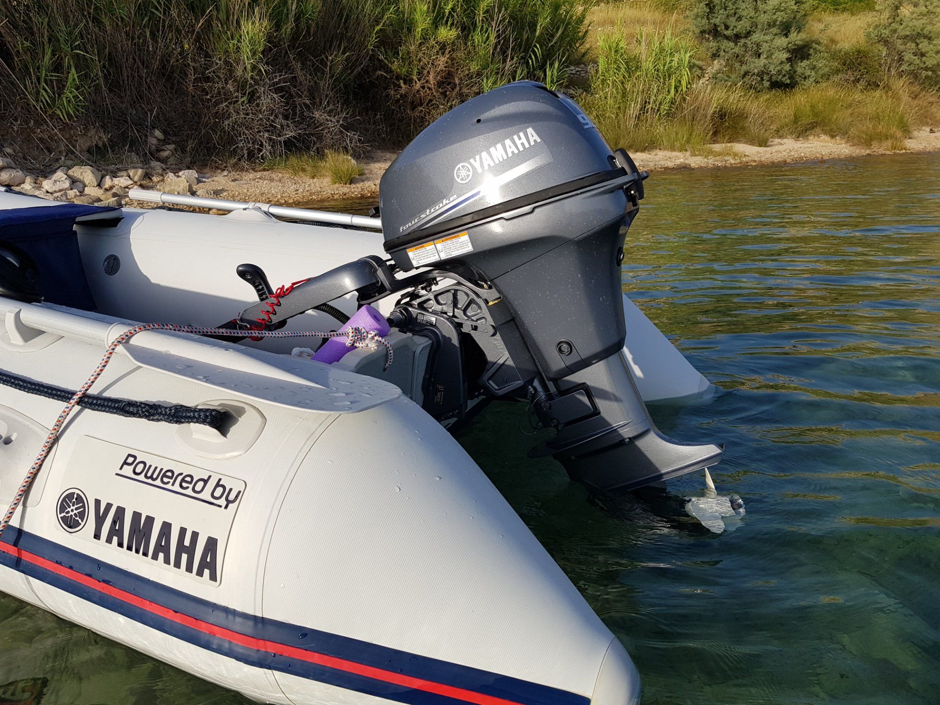 YAM 310 z Yamaha 9.9 Yamaha - 2018