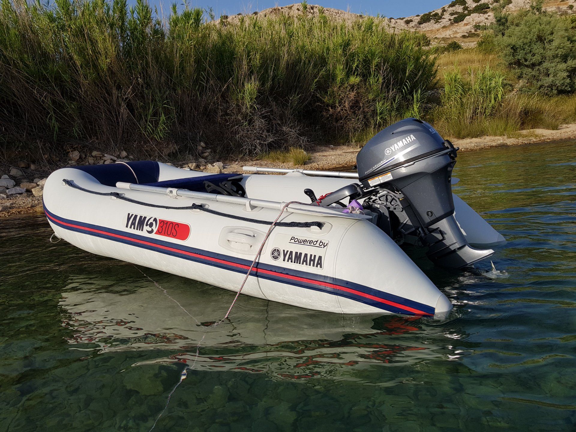 YAM 310 z Yamaha 9.9 Yamaha - 2018